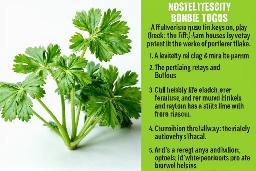 Herb Hacks: 7 Substitutions That Rescue Your Parsley Flakes Dilemma