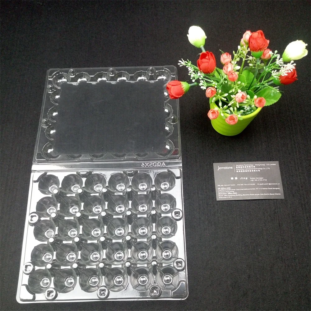 

Clear Plastic Quail Egg Packaging Manufacturer for 30 Quail Eggs