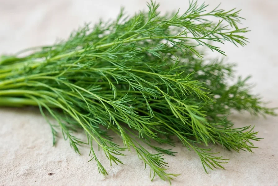 Dill Root