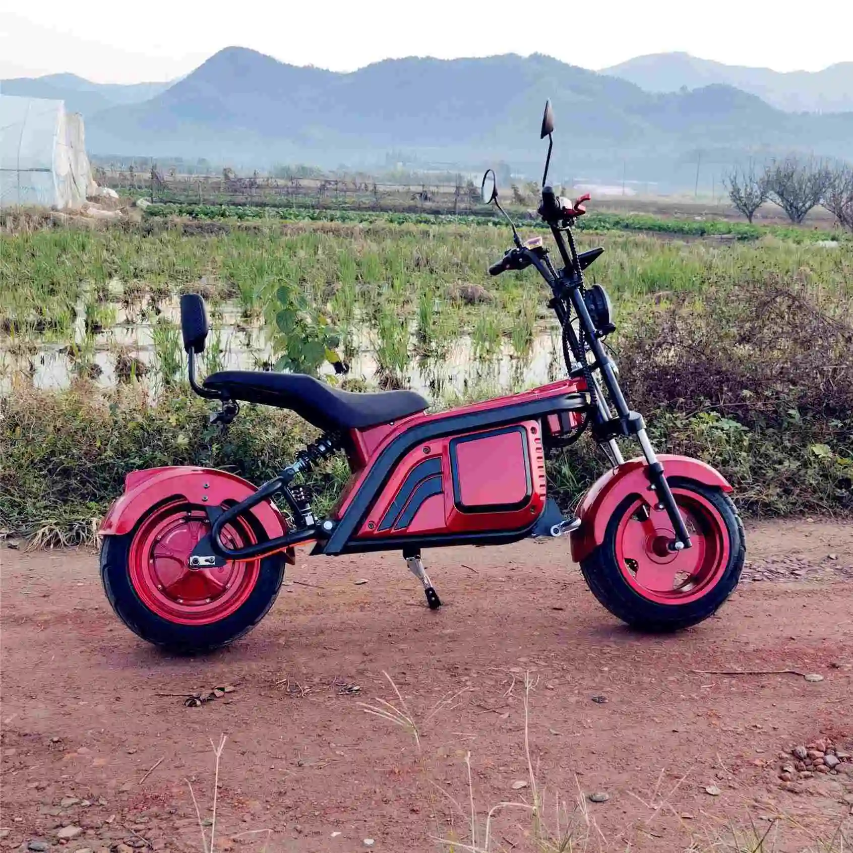

Electric Bicycle E Bike OEM Foldable Electric Bicycle Scooter Electric Bike