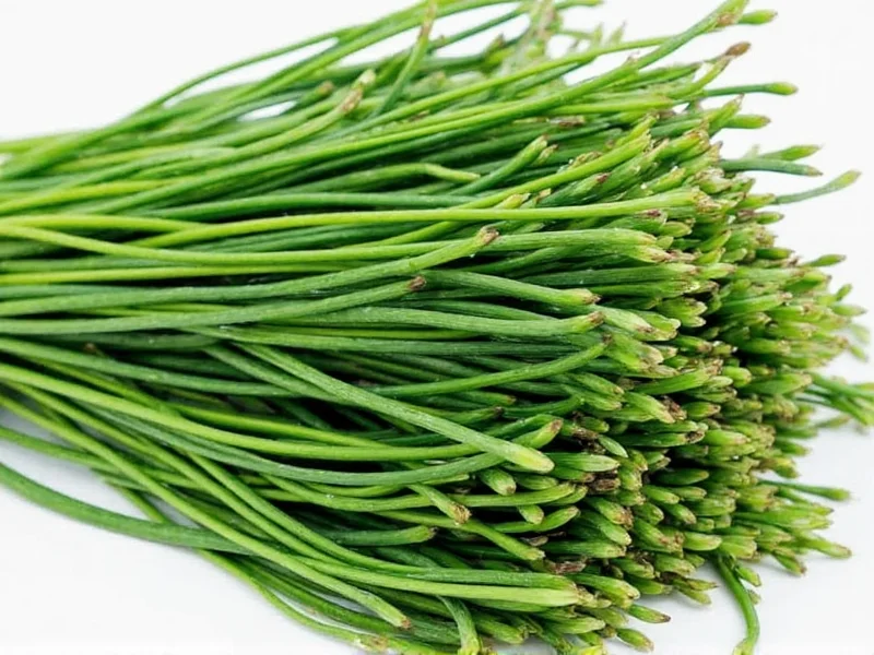 Best Substitutes for Dried Chives: Top 7 Alternatives