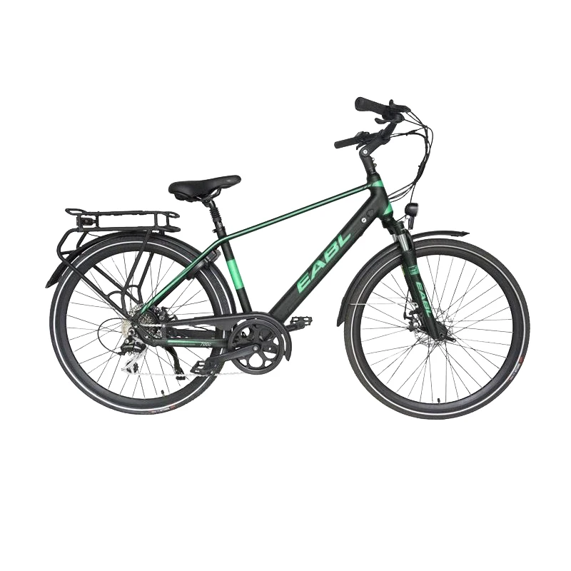 

Chinese manufacturer customized 14Ah electric bicycle 250W/350W/500W electric mountain bike