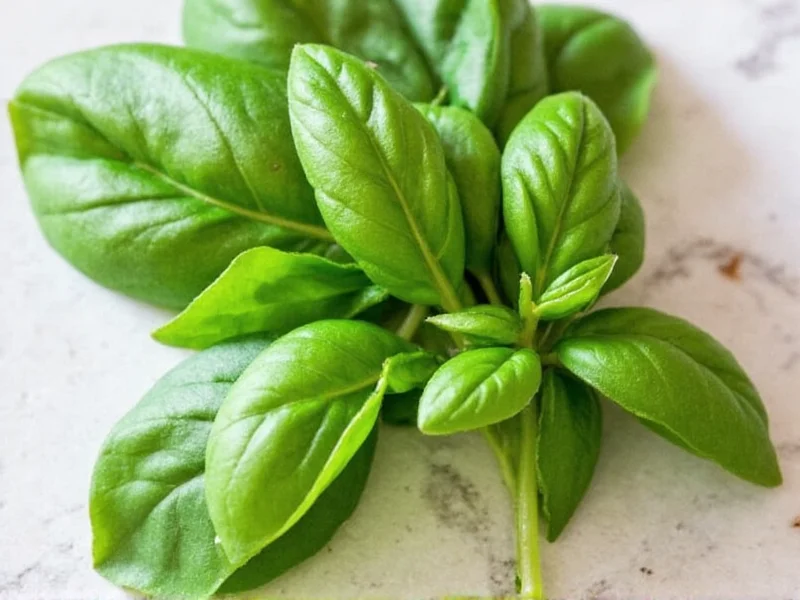 Fresh Basil to Dried Conversion: Exact Ratios for Cooking
