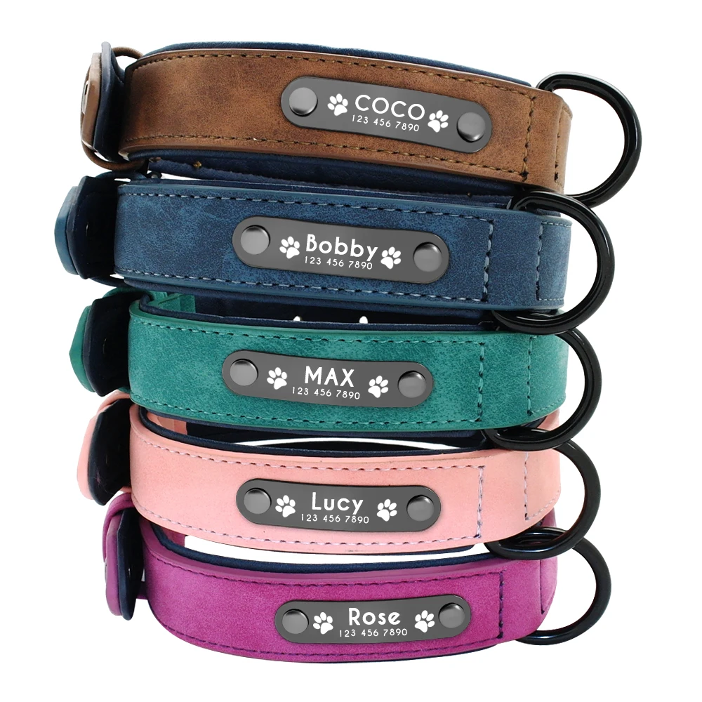 

Free Sample Custom Personalized Design Strong Private Label Heavy Duty Designers Dog Collar