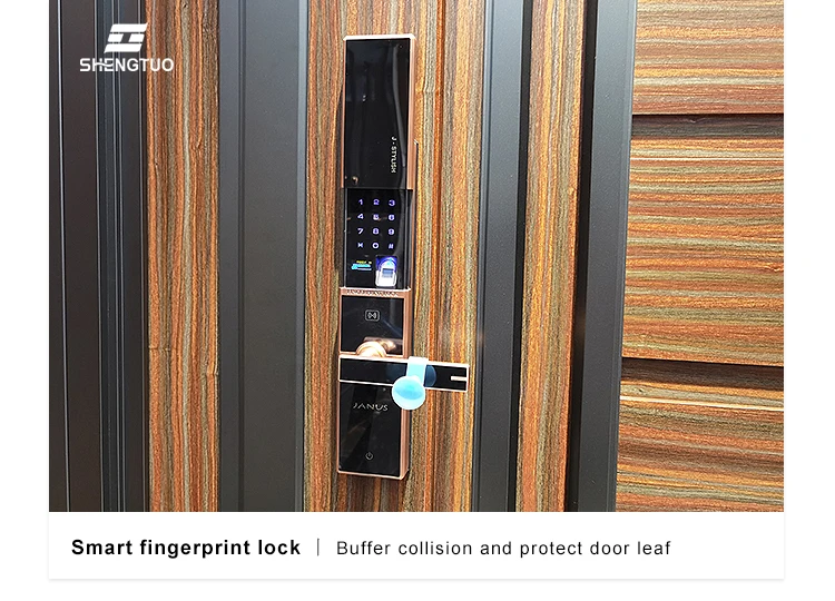 Puerta Antirrobo De Madera De Diseño Moderno Para Villa,Puerta De