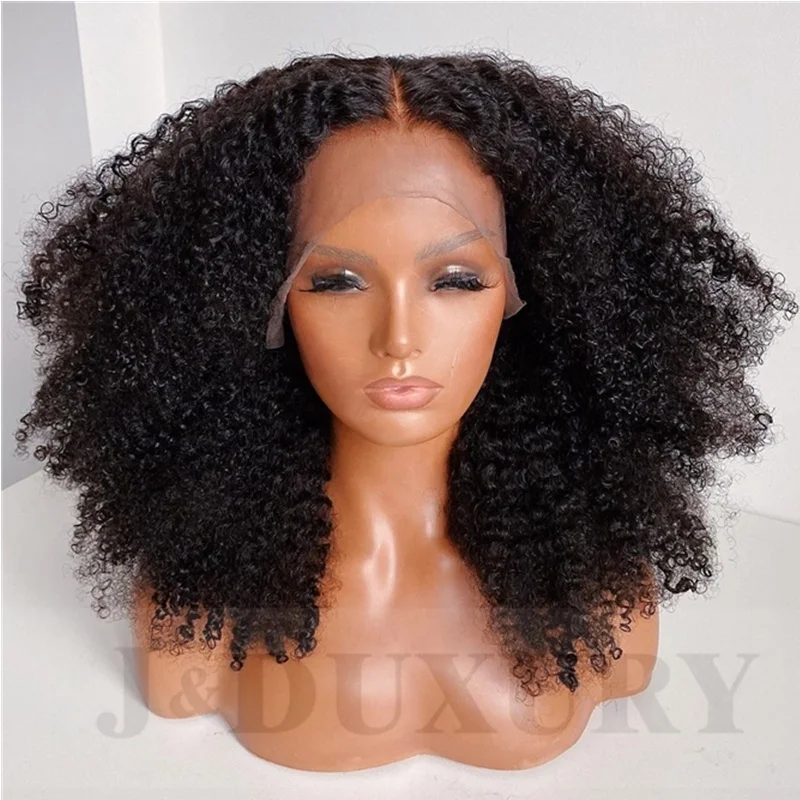 

Human hair full lace wigs for black women afro kinky curly 13x6 transparent pre plucked hd lace front natural hair lace wigs, Natural color full lace wig