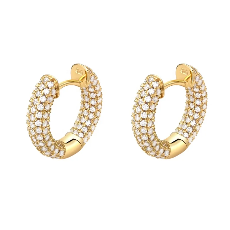 

Hot Style Hoop earrings Iced Out 5A CZ Diamond 925 Sterling Silver Stud Earrings