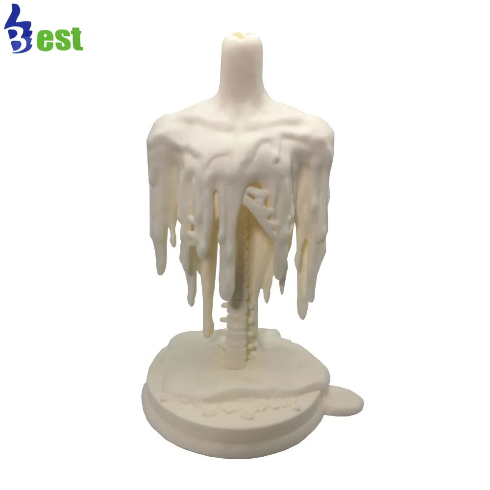 

Custom Plastic ABS PC PP Resin Vacuum Casting 3d Printing Prototype Service For Plastic Parts