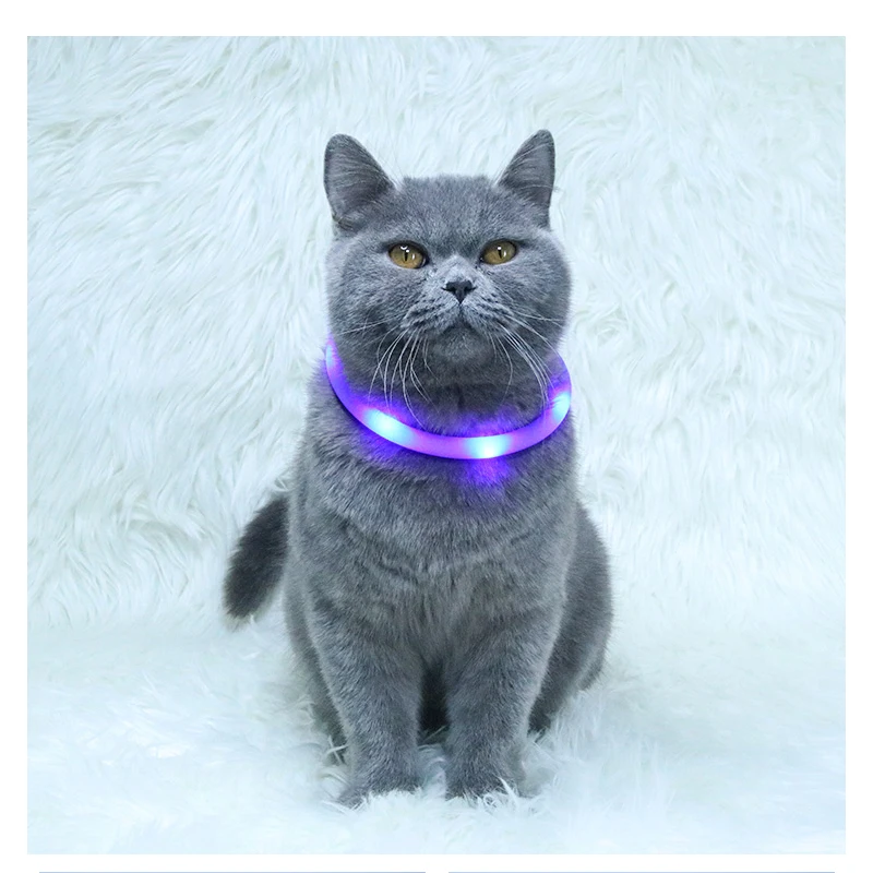 

China Supplier High Quality Personalised Fashion Round Silicone Cat Dog Collar