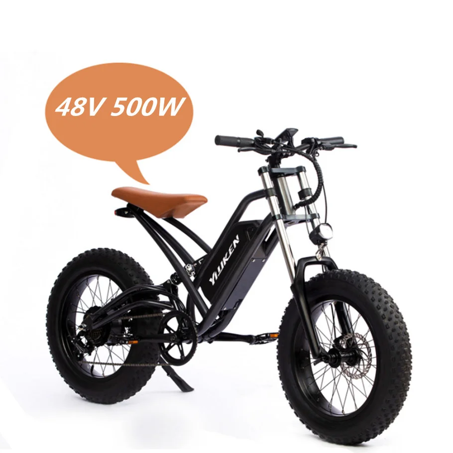 

2021 Hot-selling Moped 750W 48V 13Ah Mountain Bike 20inch Fat Tire Full Suspension EBike Electric Bike