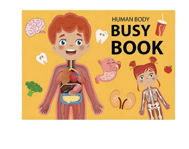 

Montessori Autism Sensory Toys Preschool Kindergarten Learning Activities Human Body Anatomy Busy Book for Toddlers