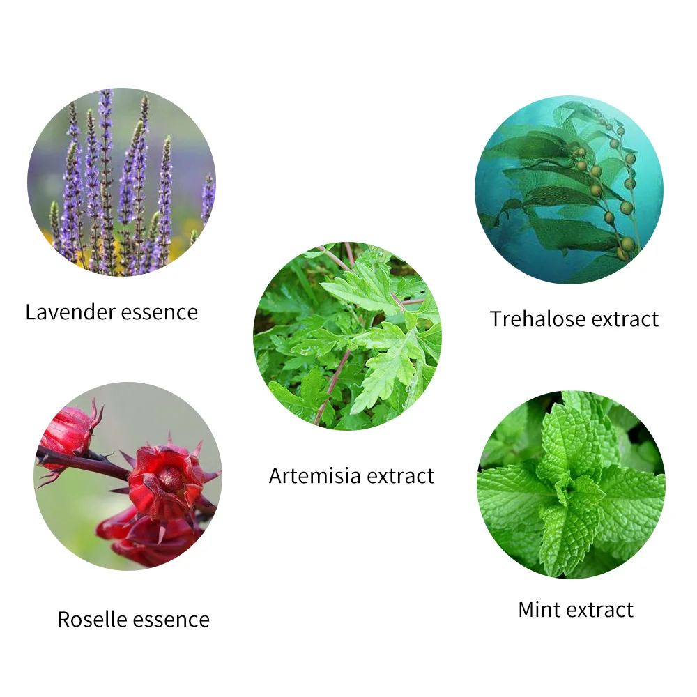 
Chinese traditional herbal extract mugwort wormwood anti-wrinkle moisturizing hand mask solution 