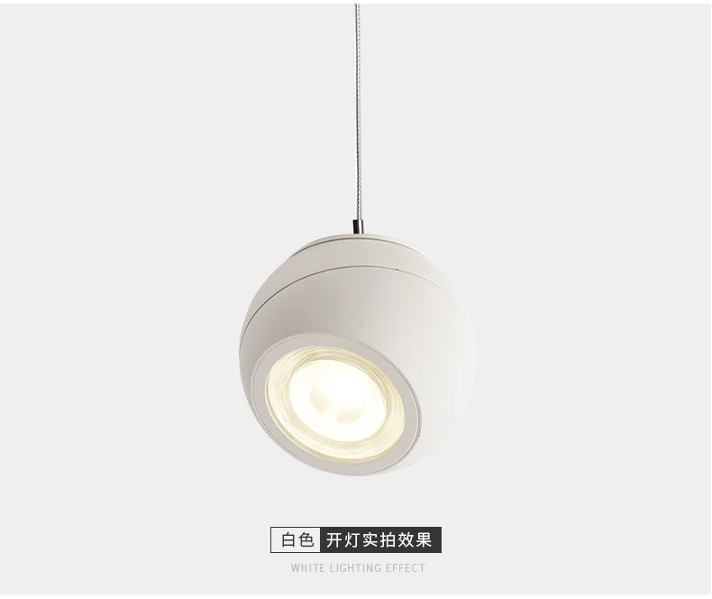 
Zhongshan Lamp 12W cob led round pendant lights ceiling lights 