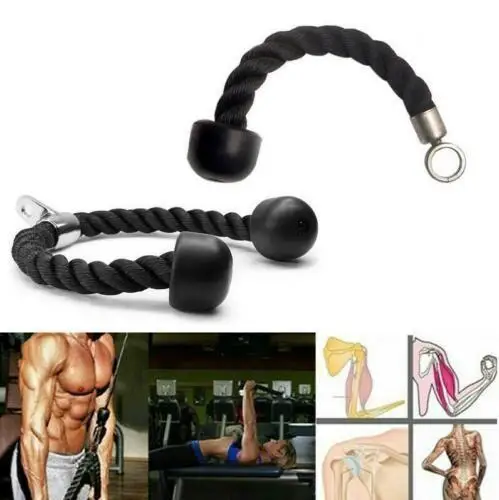 

Heavy Duty Tricep Abdominal Crunches Cable Down Laterals Biceps Muscle Training Fitness Body Building Gym Pull Rope