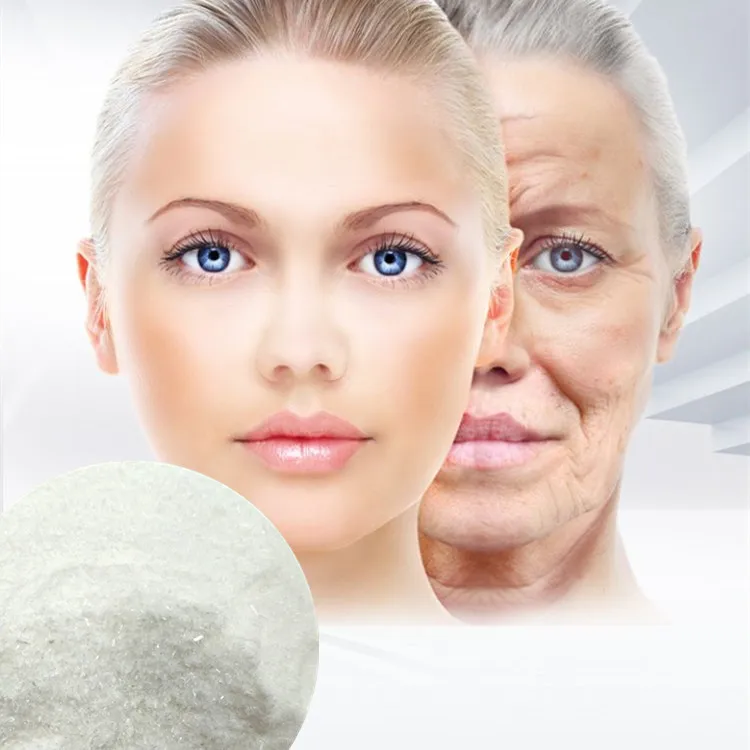 cosmetic raw materials Carnosine powder cas 305-84-0 L-Carnosine for beauty store anti-aging