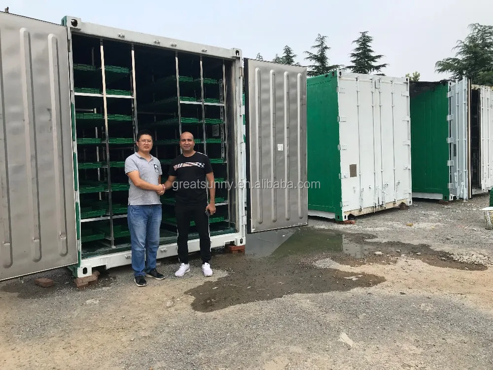 
How to Hydroponic Grow hemp Weed in machinery system 