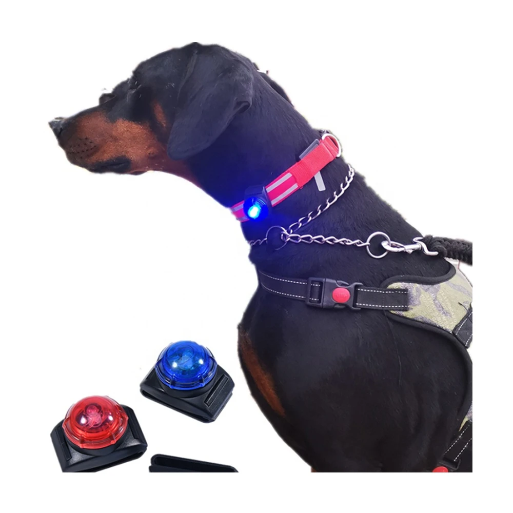 

Safety Night Walking Lights Dog Collar Light Waterproof ABS LED Dog Light, Multiple green red blue