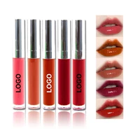 

Private Label Mirror Moisturizing Luster Lipgloss Hydrating Glossy Lip Gloss