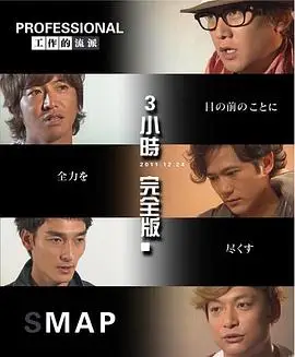 Professional 工作的流派 Smap 11 プロフェッショナル 仕事の流儀 Smap 楓林網