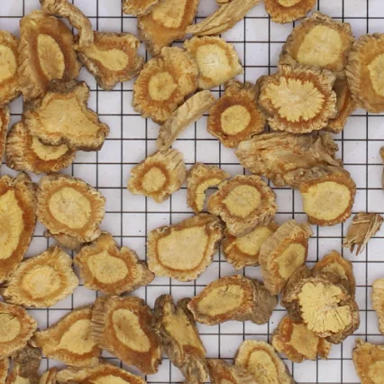 
Saposhnikovia divaricata 