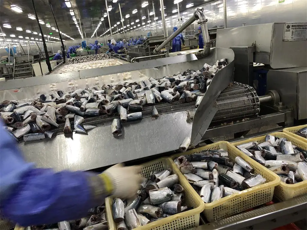 fish factory (2)