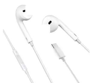 Wired USB C Digital HiFi Stereo Earphones
