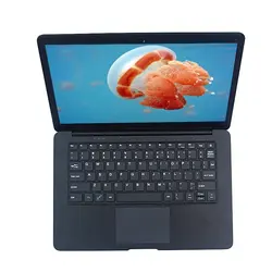Hot selling 12.5 inch Netbook Laptops for  home an