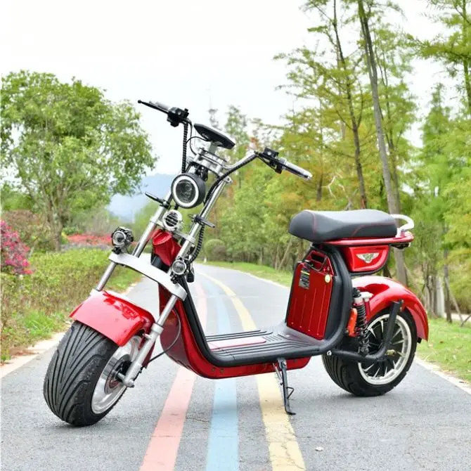 

Holland Warehouse Powerful High Speed Lead-Acid Battery Citycoco 2000W Electric Scooter With EEC, Black