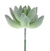 /product-detail/artificial-mini-succulent-plants-arranged-in-pentagram-glass-jar-62398658836.html