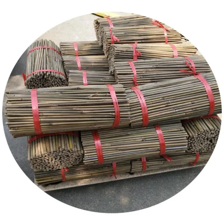 
Bamboo Pole with Plastic Coated Plant Stakes Supports Natural Bamboo Stake Climbing for Tomatoes Trees Beans 