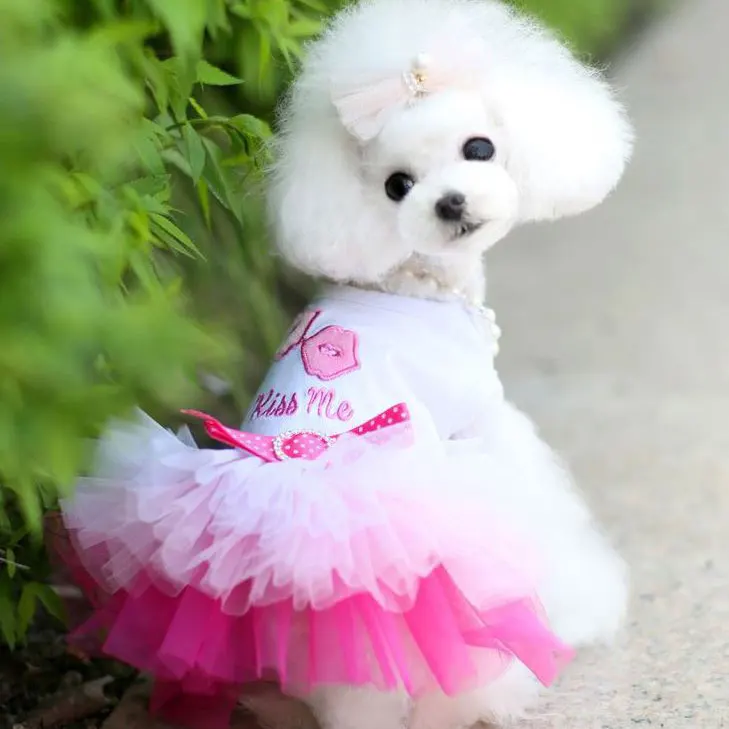 

Dog Dress Pet Cute Small Dog Skirt Dress Puppy Tutu Skirt