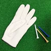 /product-detail/golf-magnetic-plastic-bulk-70mm-golf-tee-62250048616.html