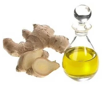 
air dry ginger dehydrated vegetables ginger zingiber officinale for buyer 
