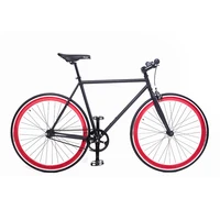 

China 2019 colored fixie /fixie bikes/bycycle / bicicle/ 700C fixed gear bicycles for adult
