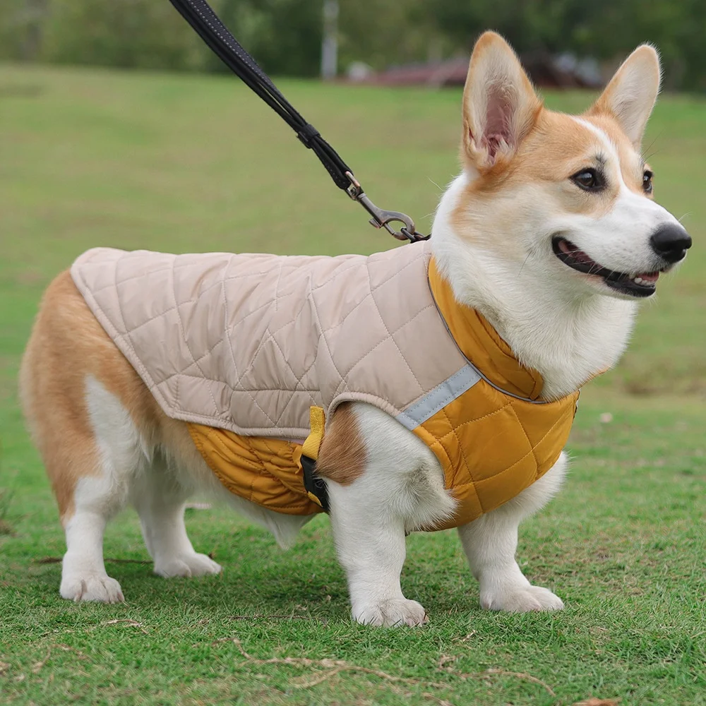 

Easily Wear Pet Warm Coat Cotton Dog Vest Winter Warm Pet Clothing Small Big Dog Clothes with Leash Buckle