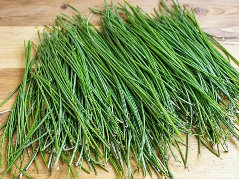 How to Dry Out Chives: Complete Preservation Guide