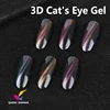 QS 5D Magic Cat Eye With Two Magnets UV/LED Gel
