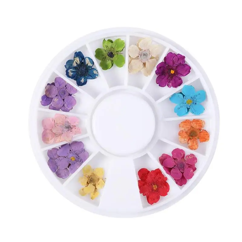 

1 Box Dried Flowers Nail Decoration Natural Floral Stickers Nail Art Decals, Colors