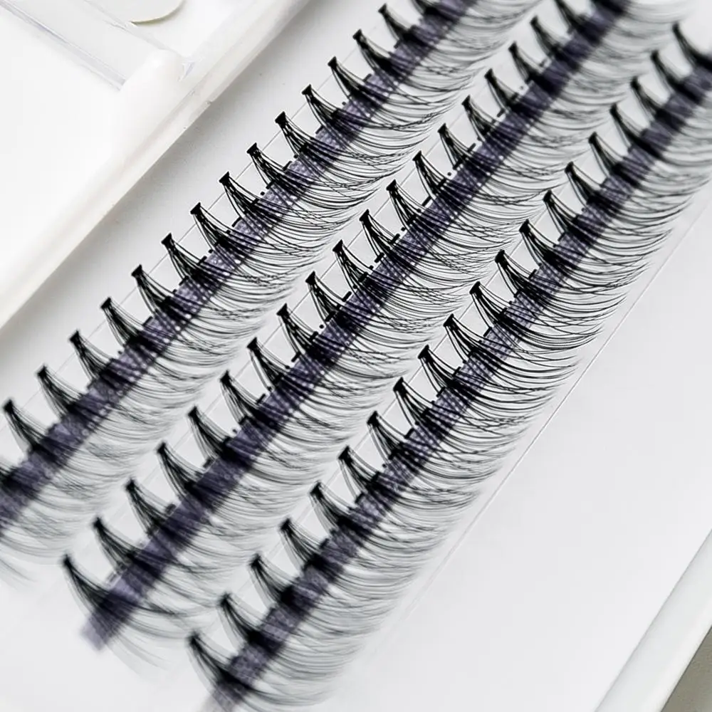 

Pre Made Fans 10D handmade Russian volume lashes 0.07 mm thickness individual volume eyelash