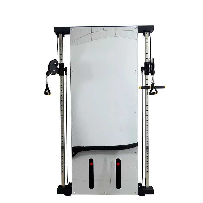 

Distributorships Offered Metal Mirror Wall Fixed Trainer Commercial Multi Gym Sports Equipment Exhibition Fitness Equipment, Customized color