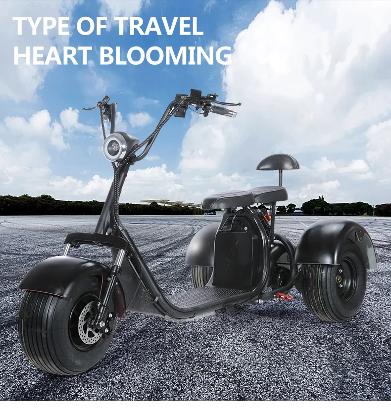 three wheels EEC electric scooter