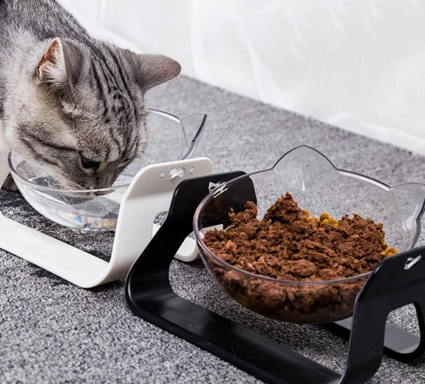 

New designed cute transparent pet cat food bowl to protect the cervical spine