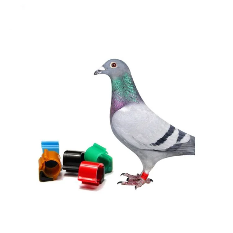 
LF ABS rfid pigeon foot chip rings for sale Benzing 