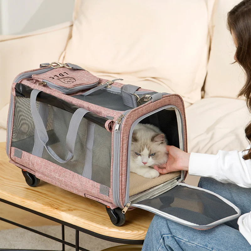 

2021 Wholesale big volume luxury expandable dog cat backpack wheeled trolley pet carrier with detachable trolley, Customized color