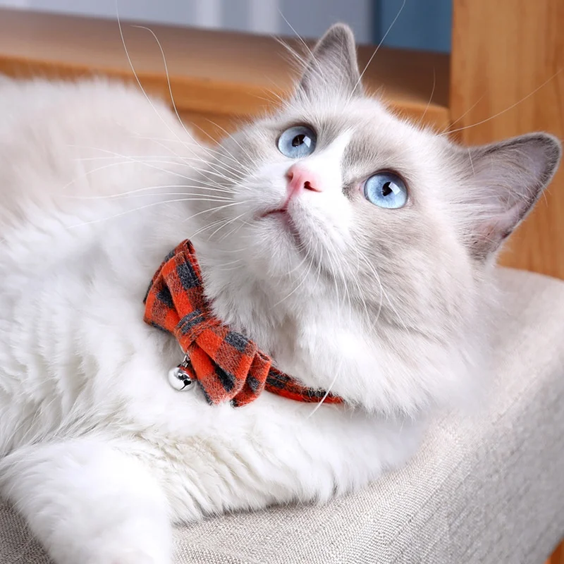 

Pet collar, bow with bell 2021 new pet supplies wholesale