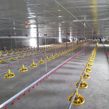 Full Automatic Broiler Poultry Flooring System Chicken Farming ...