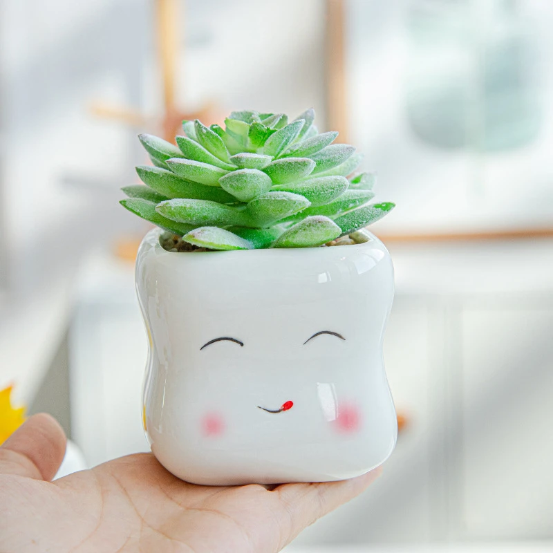 

Indoor white Square Cute cartoon porcelain Succulent plants vase Small Ceramic Flower Pots for home decor