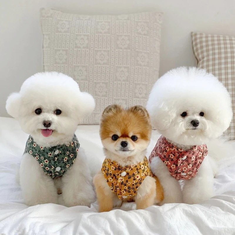 

Pet Dog Sweaters Winter Pet Clothes for Small Dogs Warm Sweater Coat Outfit for Cats Clothes Woolly Soft Dog T Shirt Jacket, Blue, white