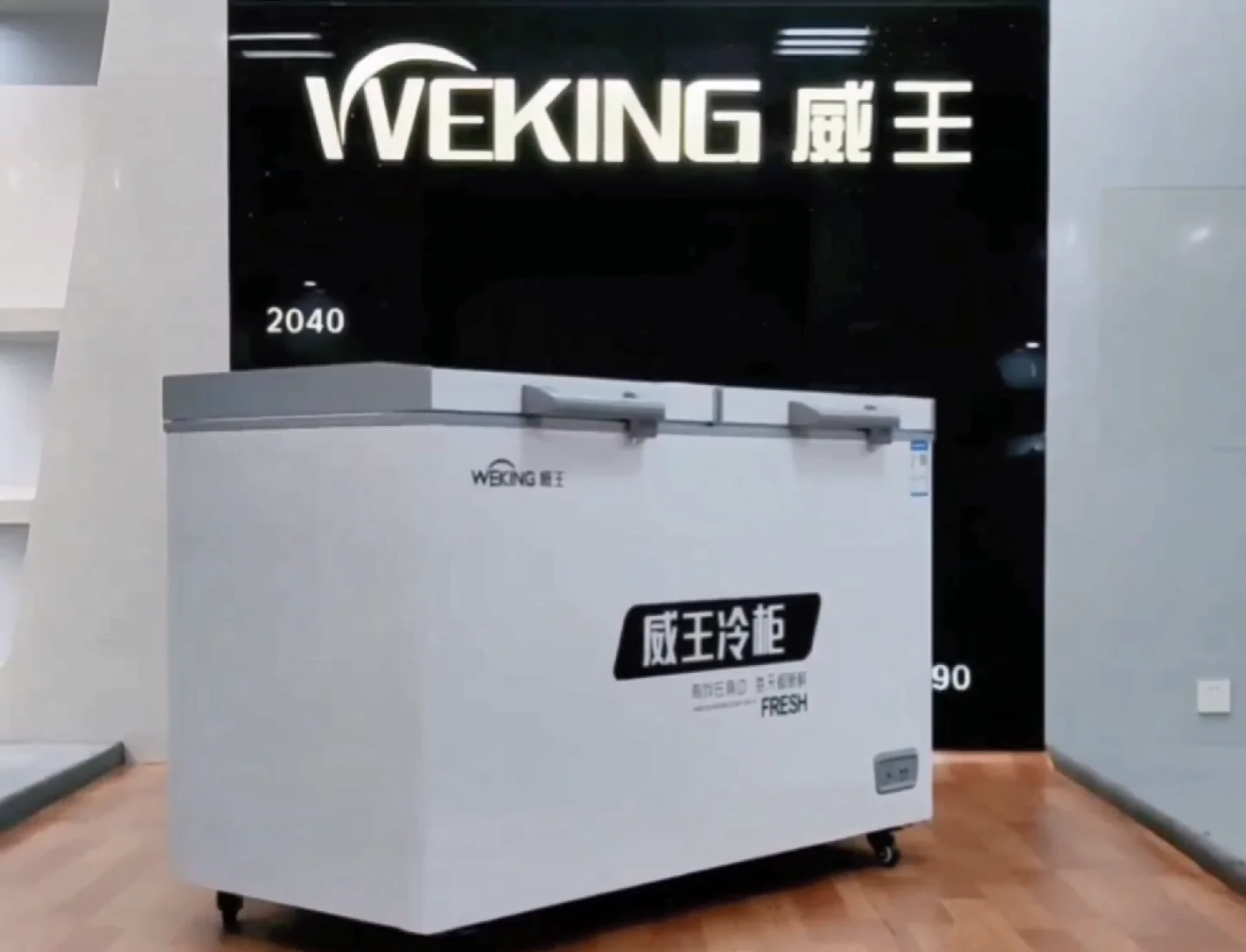 Small Home Comercial Deep Chest Freezer For Frozen Food Fish Mean With