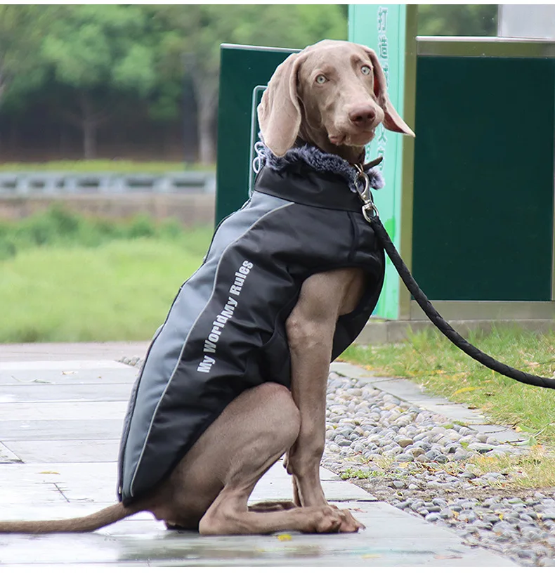 

High Quality Big Large Dog Custom Autumn Winter Warm Reflect Light Big Dog Cloth Folding Neckline Dog Jackets Pet Apparel